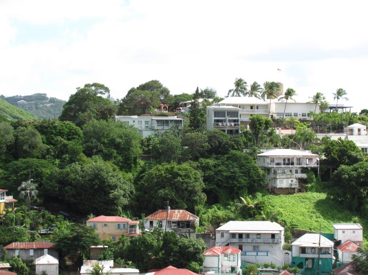 The Green Iguana Hotel Charlotte Amalie Kültér fotó