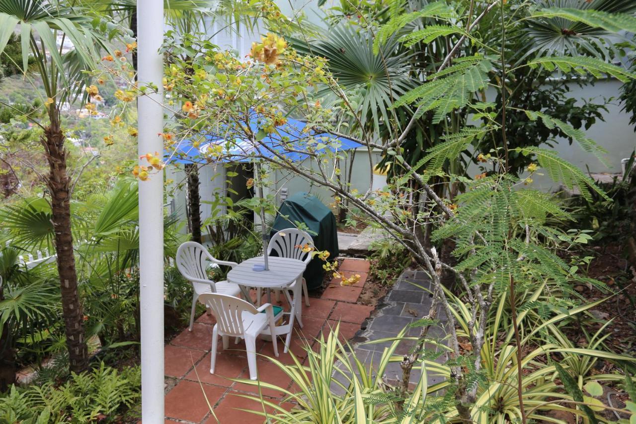 The Green Iguana Hotel Charlotte Amalie Kültér fotó