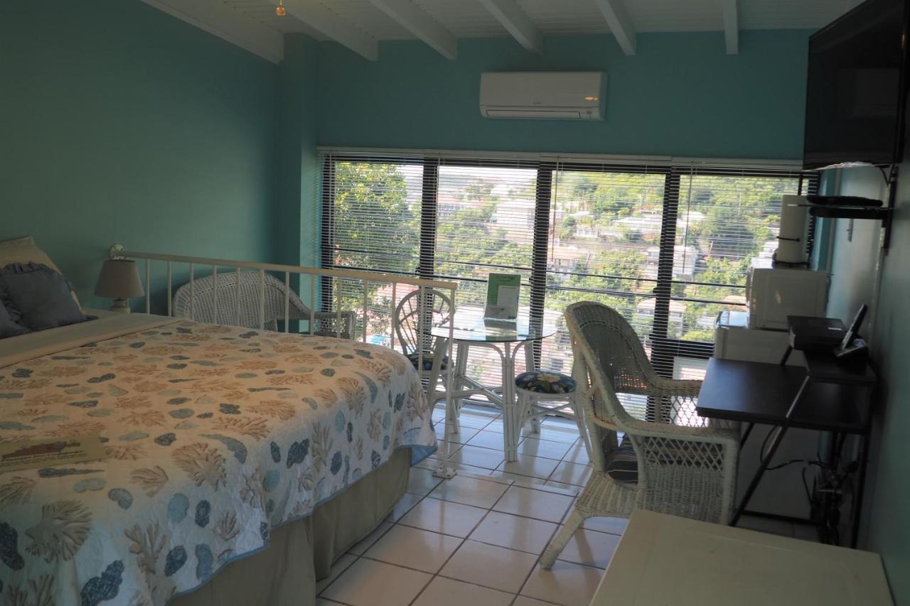 The Green Iguana Hotel Charlotte Amalie Kültér fotó