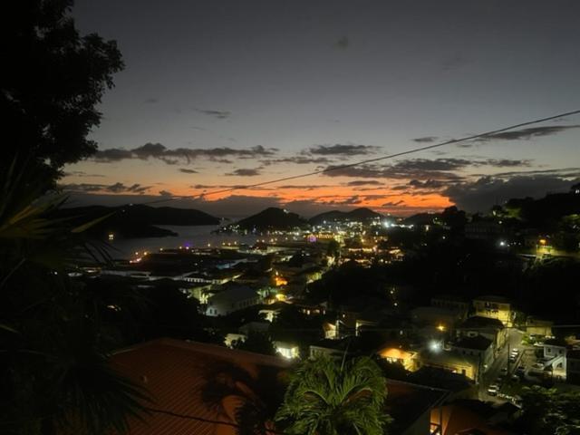 The Green Iguana Hotel Charlotte Amalie Kültér fotó