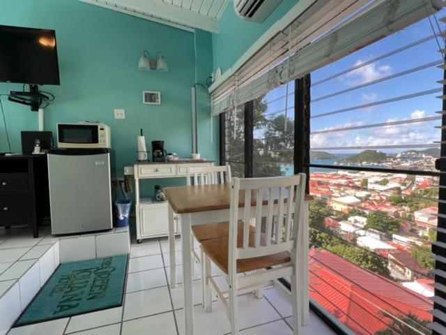 The Green Iguana Hotel Charlotte Amalie Kültér fotó
