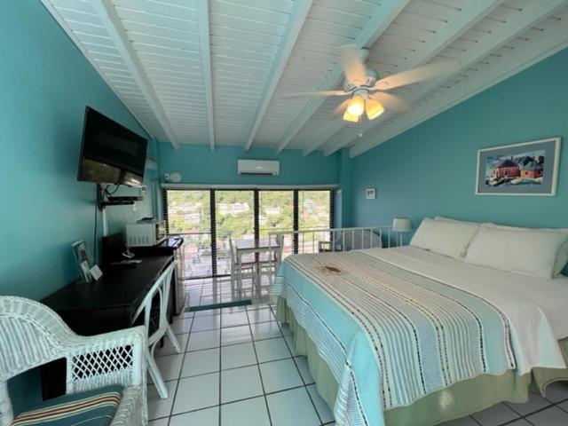 The Green Iguana Hotel Charlotte Amalie Kültér fotó