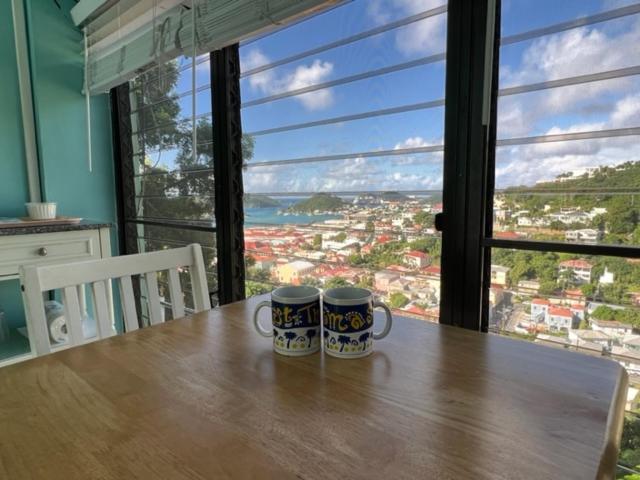 The Green Iguana Hotel Charlotte Amalie Kültér fotó